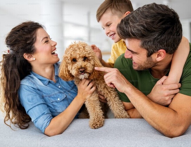 Agencija za nekretnine - Nekretnine Tukodi